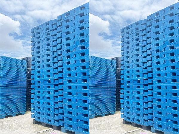 Pallet nhựa